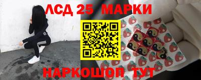 шишки Краснознаменск