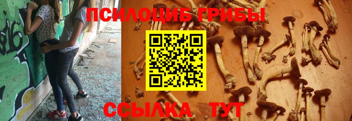 Галлюциногенные грибы MAGIC MUSHROOMS Донецк