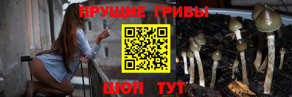 Донецк  Псилоцибиновые грибы ЛСД  Вход с VPN 